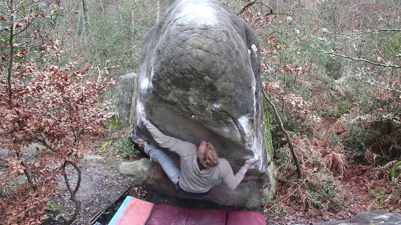 La Gaule 7C Fontainebleau