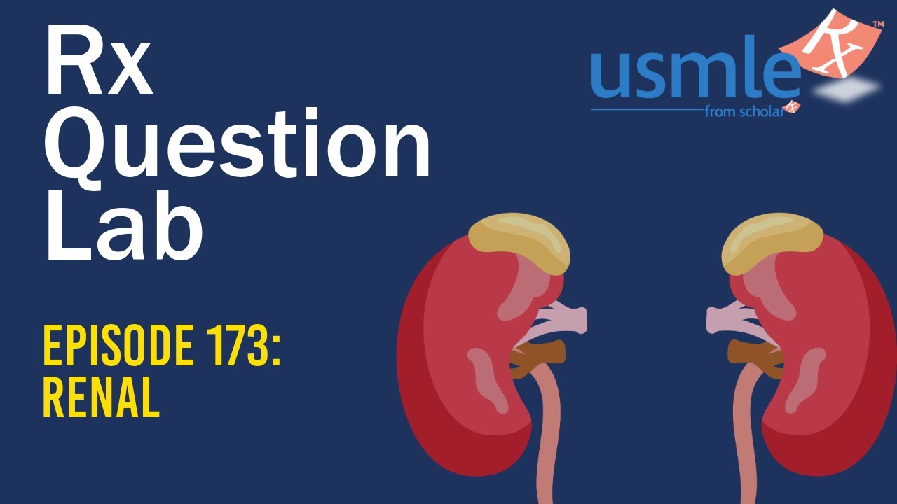 Rx Question Lab - Renal Edition
