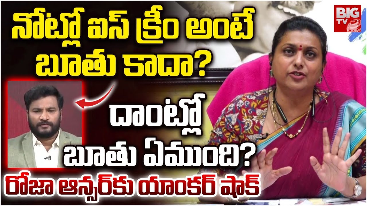 ఐస్ క్రీం అంటే బుతా | RK Roja SHOCKING Comments On Heritage Ice Cream Dialogue @BIGTVAP