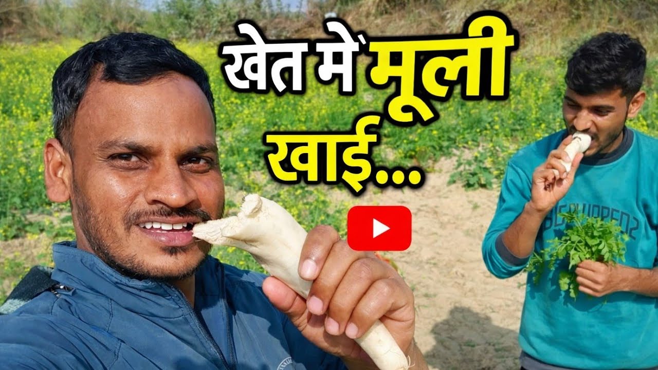 आज खेत में मूली खाई.....🤗