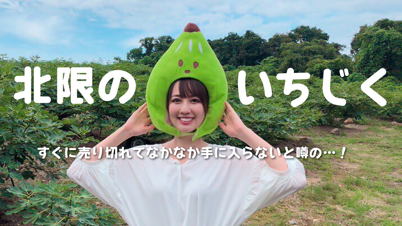 【にかほdeしおさんぽ】大人気の北限のいちじくを求めて…！