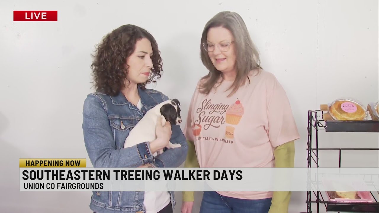 53rd Annual Southeastern Treeing Walker Days brings hundreds of dogs to Union Co Fairgrounds