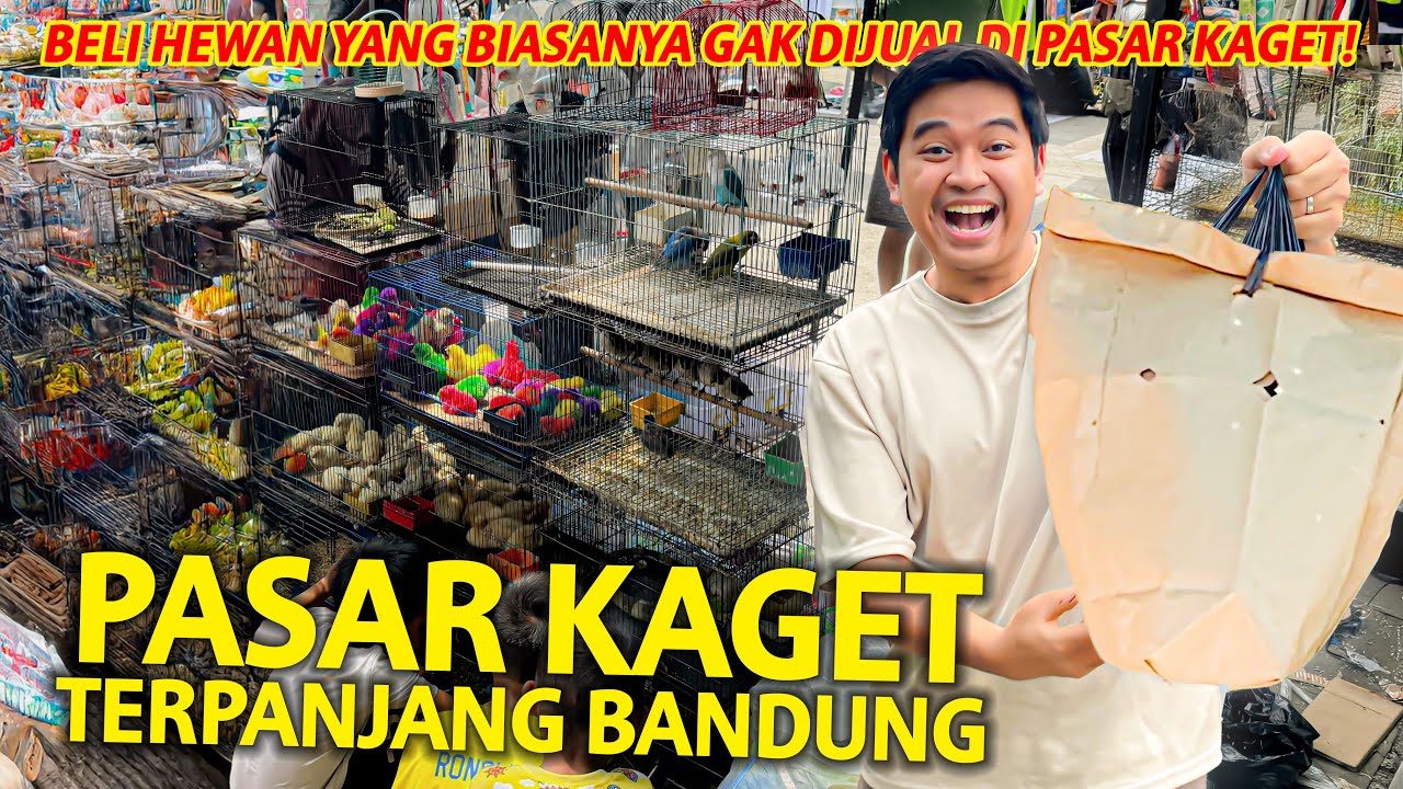 BELI HEWAN YANG GAK PERNAH ADA DI PASAR KAGET SEBELUMNYA! PASAR KAGET GEDE BAGE BANDUNG!
