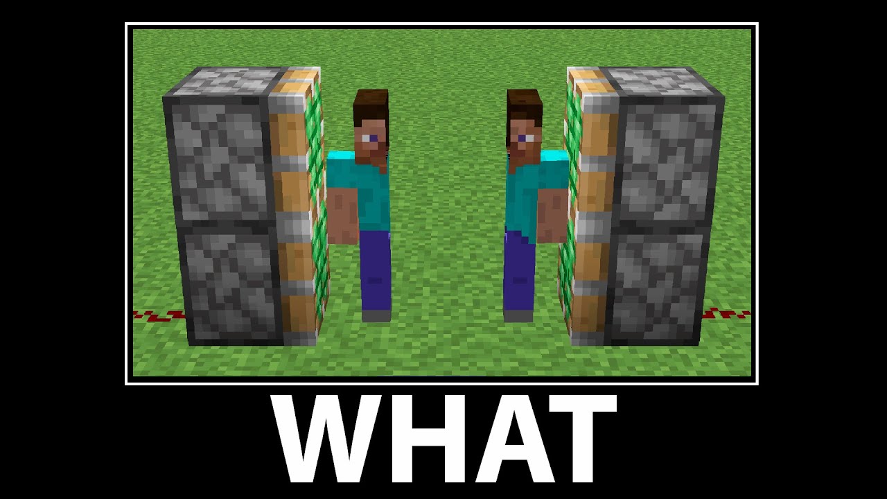 WAIT WHAT - Minecraft #6