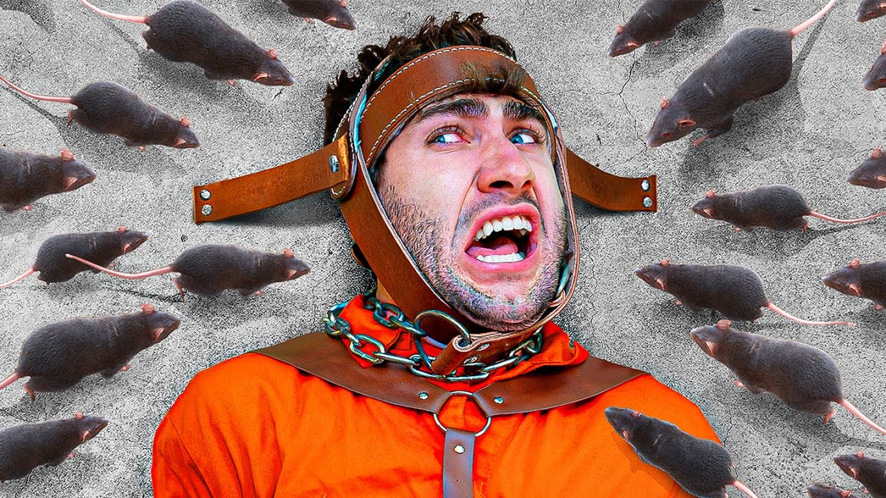 If You Scream, You Lose: IRL