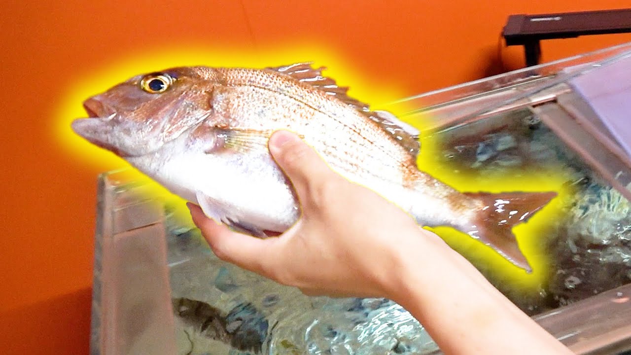 [50 000 иен] Домашний мадай на морепродуктах – вкус шокировал
