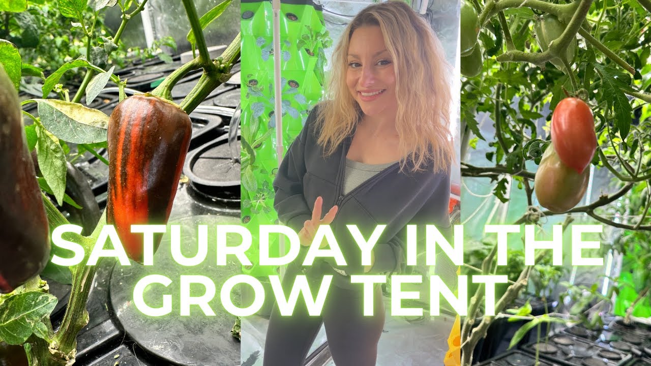 LIVE: SATURDAY IN THE GROW TENT💚
