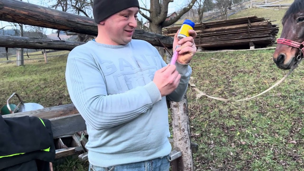 ⚜️Кузня Тафійчука Івана та гельмінтизація домашніх улюбленців 🌲🌲🌲