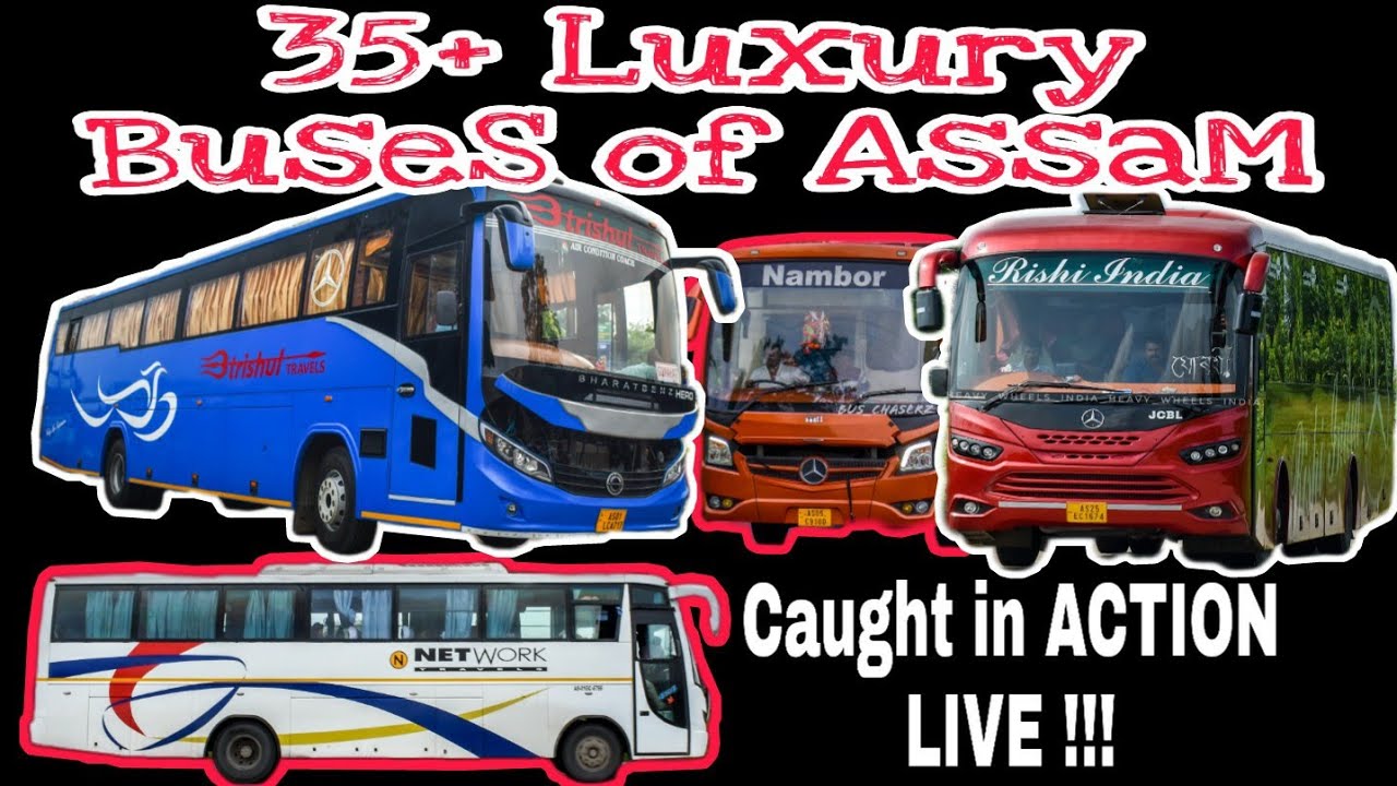 35+ Luxury Buses of ASSAM in Action | Nagaon Bypass | Volvo Bharat Benz Leyland | 8:30 to 11:30 am