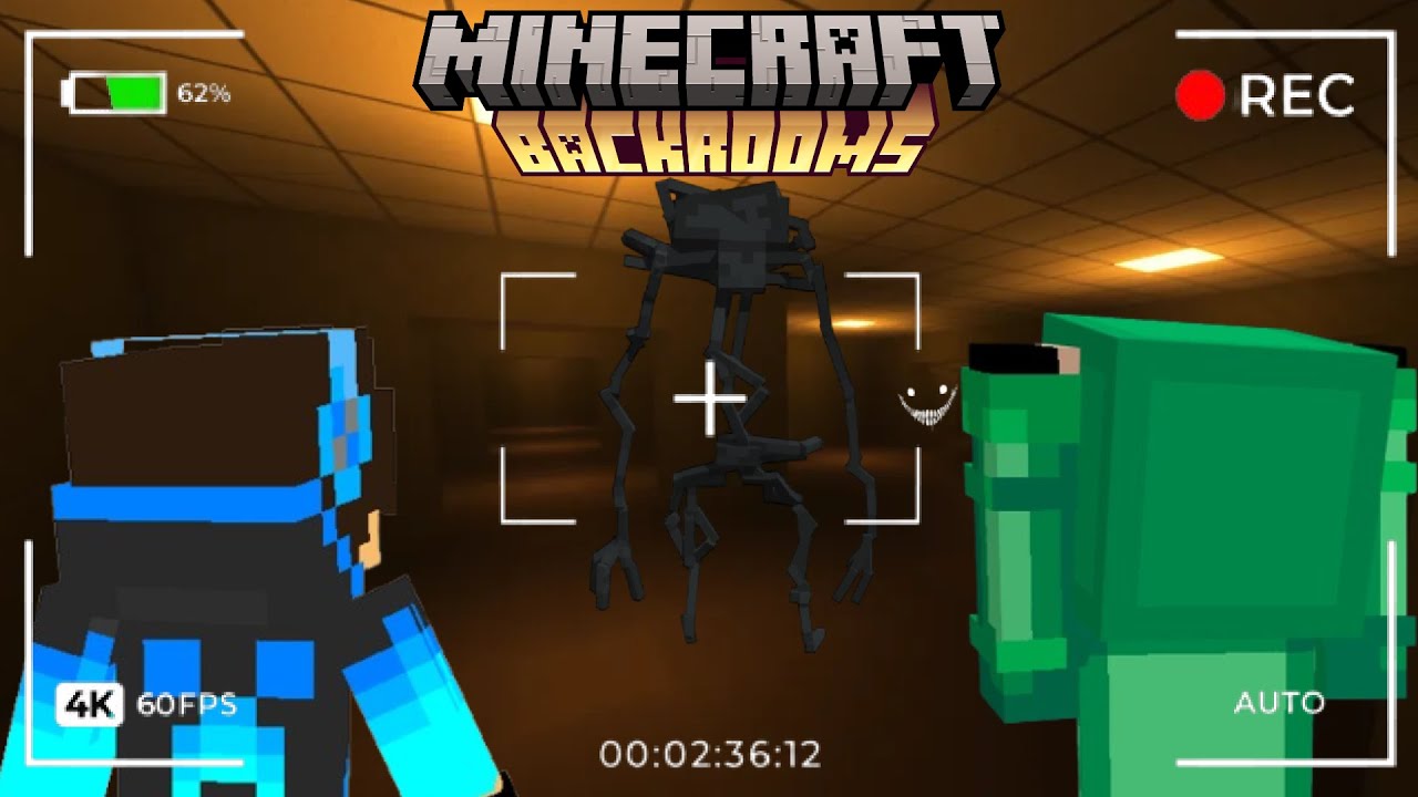 SIAMO FINITI NELLE BACKROOMS SU MINECRAFT!!!