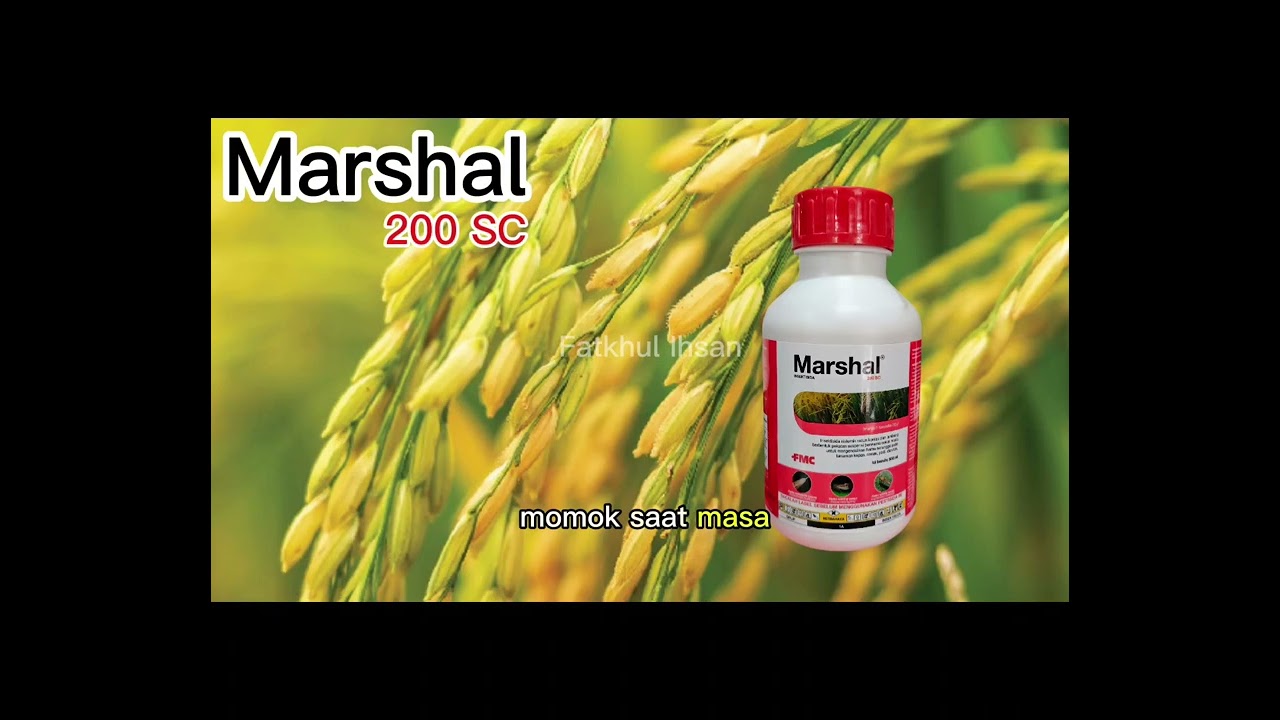 Marshal 200 SC | Insektisida PT FMC