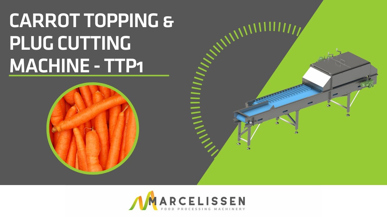 Carrot Topping & Plug Cutting Machine - TTP1