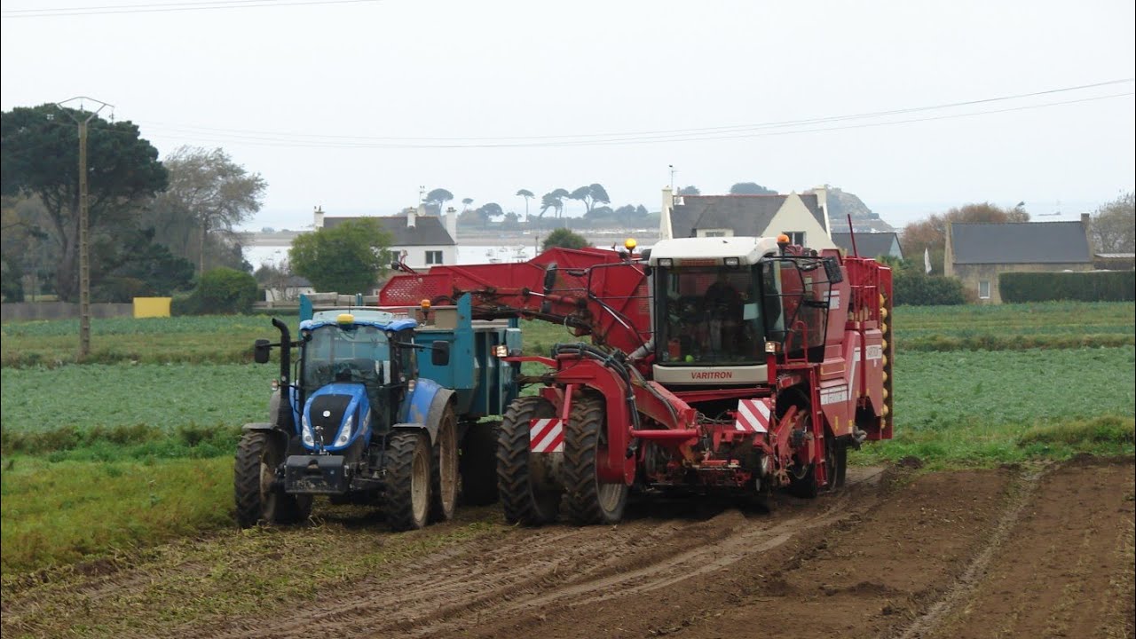 [RARE] Arrachage de panais bio 2017 en bord de mer-GRIMME VARITRON 270-New Holland T5 110