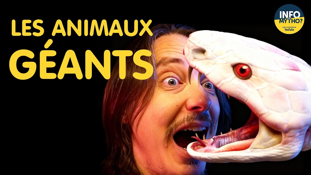 Les animaux géants / Franche Fiction - Info ou Mytho