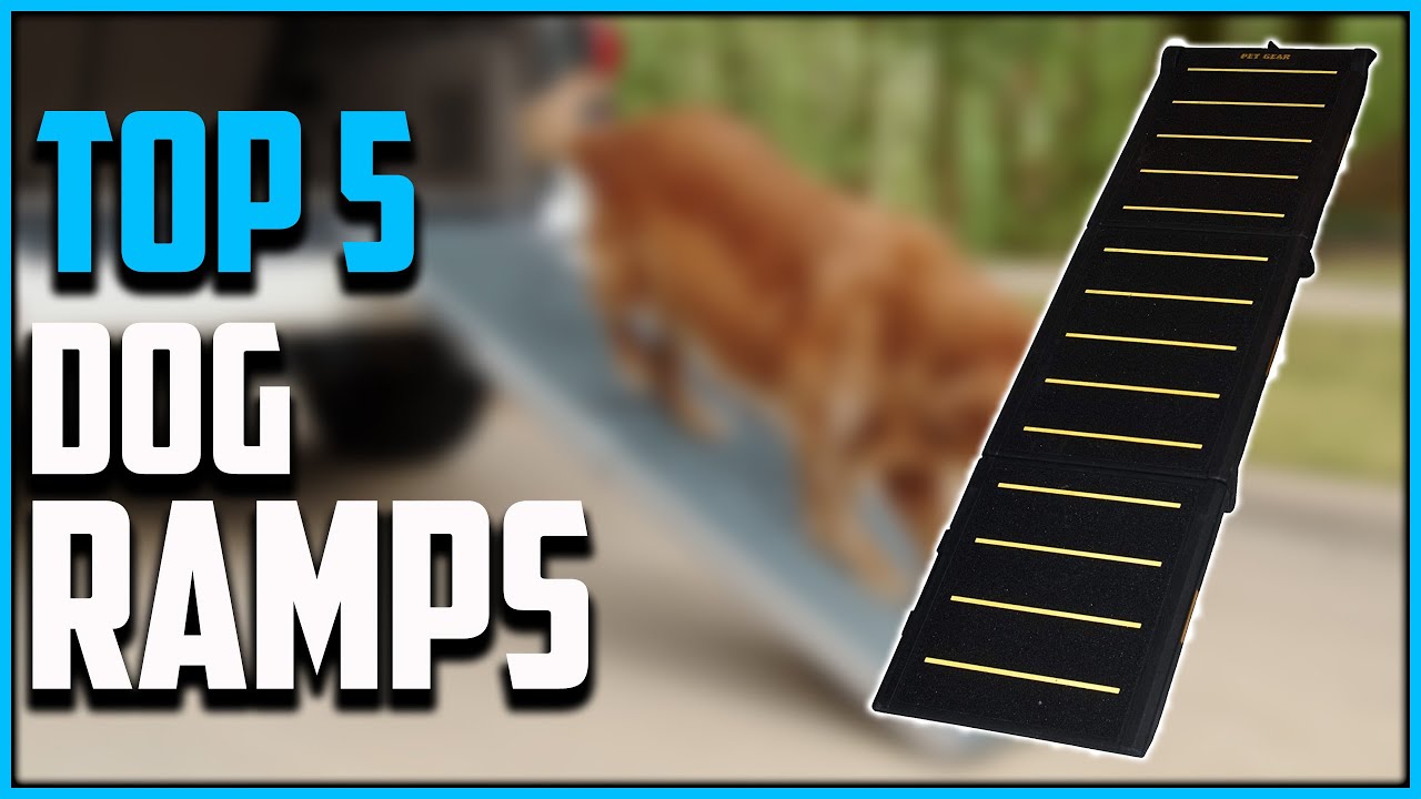Top 5: Best Dog Ramp 2021