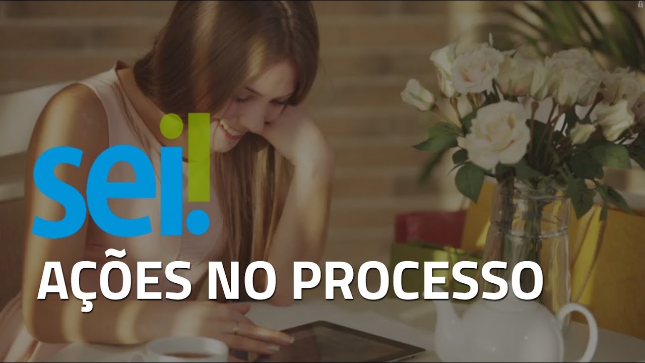 Processo no Sistema Eletrônico de Informações