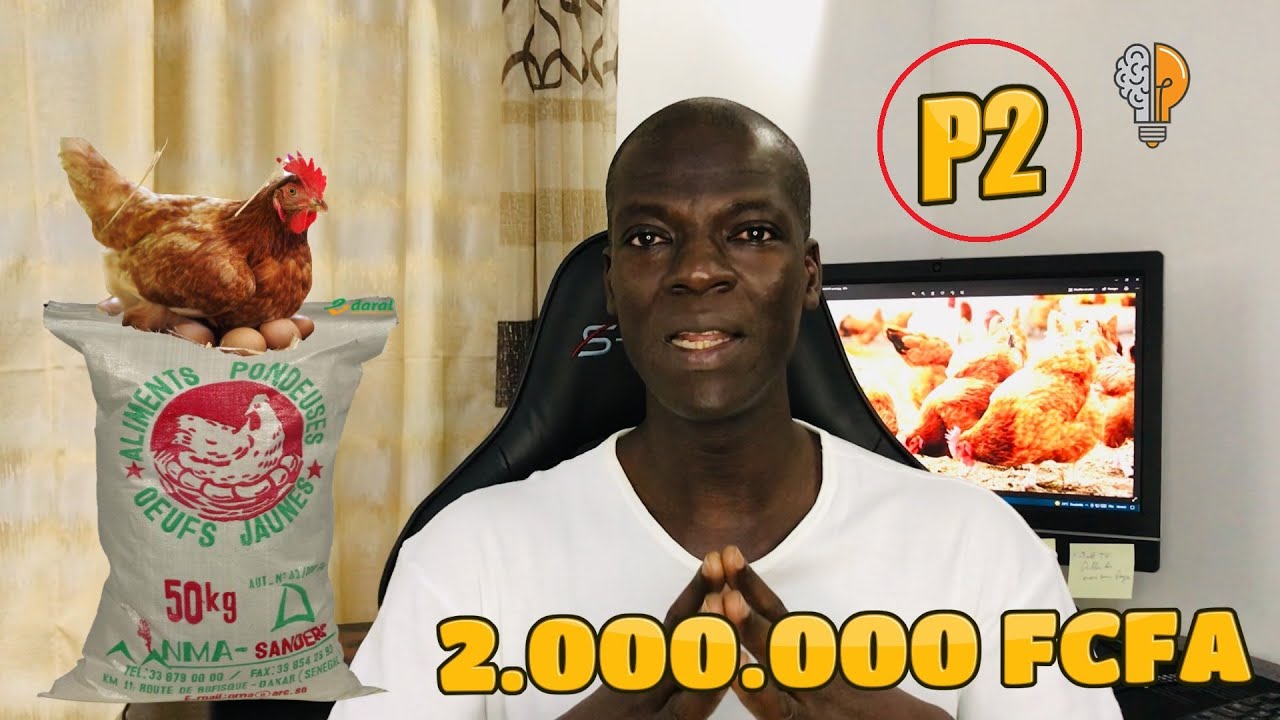 P2 - 20.000 FCA X 2 ET GAGNER PLUS DE 2.000.000 MILLIONS FCFA SUR 1 AN [ P2 ]