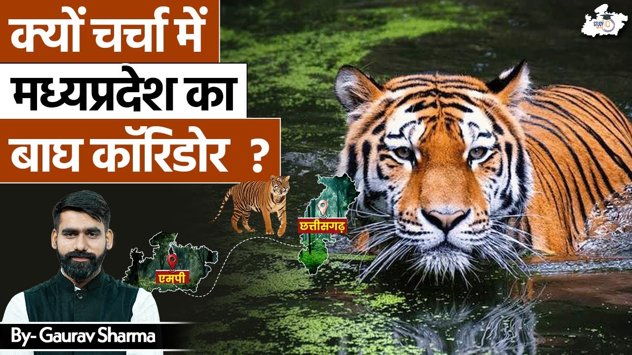 MP Tiger Corridor: आखिर क्यों बना चर्चा का विषय? | BY Gaurav Sir | MPPSC StudyIQ