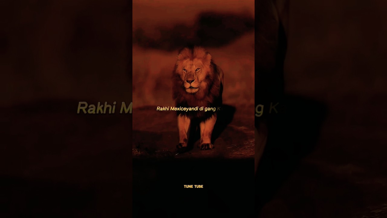 Shubh - King Shit🔥✨🦁|| Slowed Reverb || WhatsApp Status #shorts @SHUBHWORLDWIDE