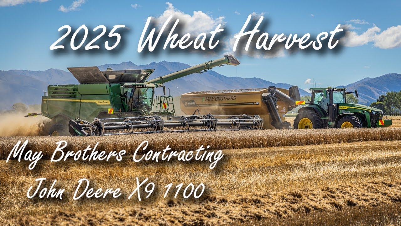 2025 May Brothers Contracting wheat harvest with John Deere X9 1100 at Ashburton, NZ