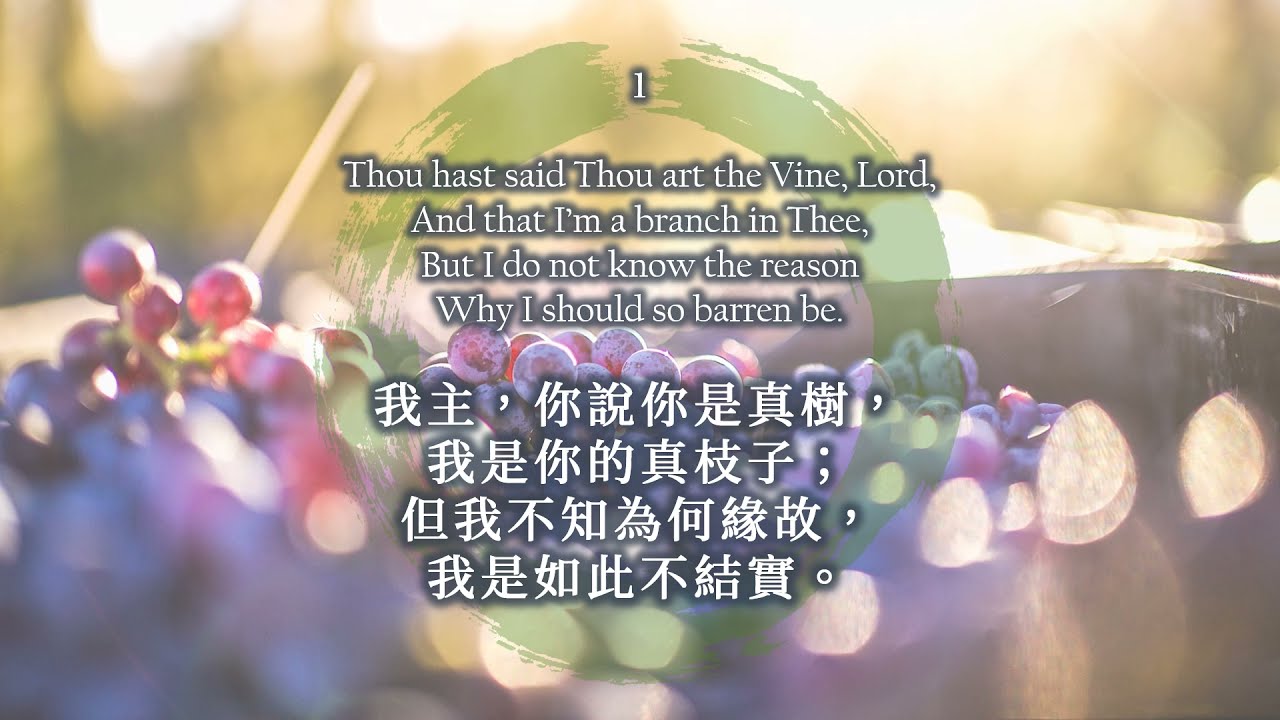 HYMN 561: Thou hast said Thou art the Vine, Lord