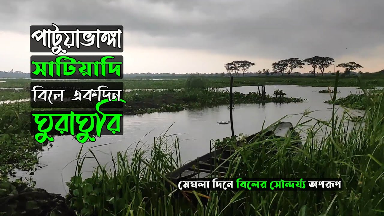 পাটুয়াভাঙ্গা সাটিয়াদি বিলে একদিন ঘুরাঘুরি | Satiadi Beel A Bangladeshi Village Cinematic Vlog