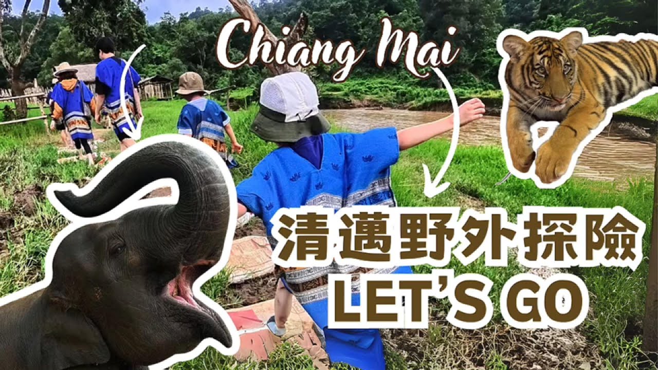 清邁親子超強攻略來了🔥！！教你泰國輕鬆叫車🇹🇭原來清邁超適合親子！/摸老虎/大象洗澡/超近距離長頸鹿/黏黏瀑布/野外探險/清邁自由行🇹🇭