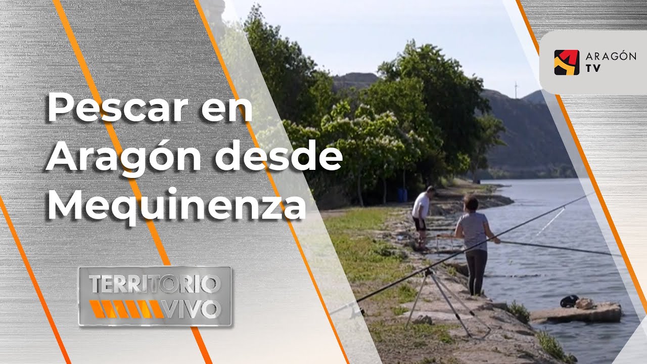 Fishing in Arag&oacute;n: Mequinenza | Territorio Vivo ATV 401