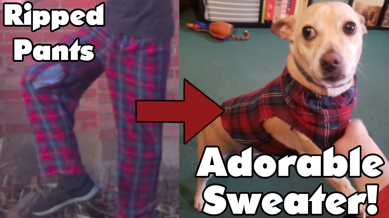 DIY Dog Sweater (from OLD PAJAMA PANTS) No-Sew Tutorial