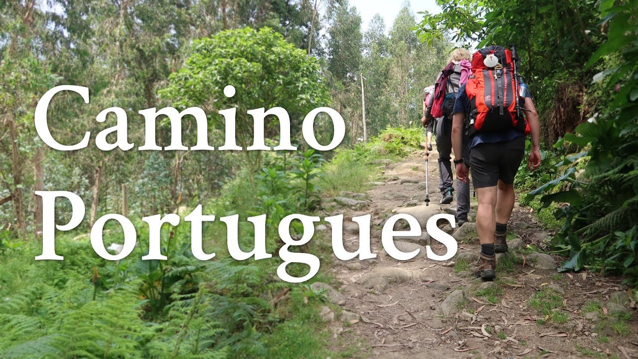 Camino Portugues and Camino Finisterre June 2018