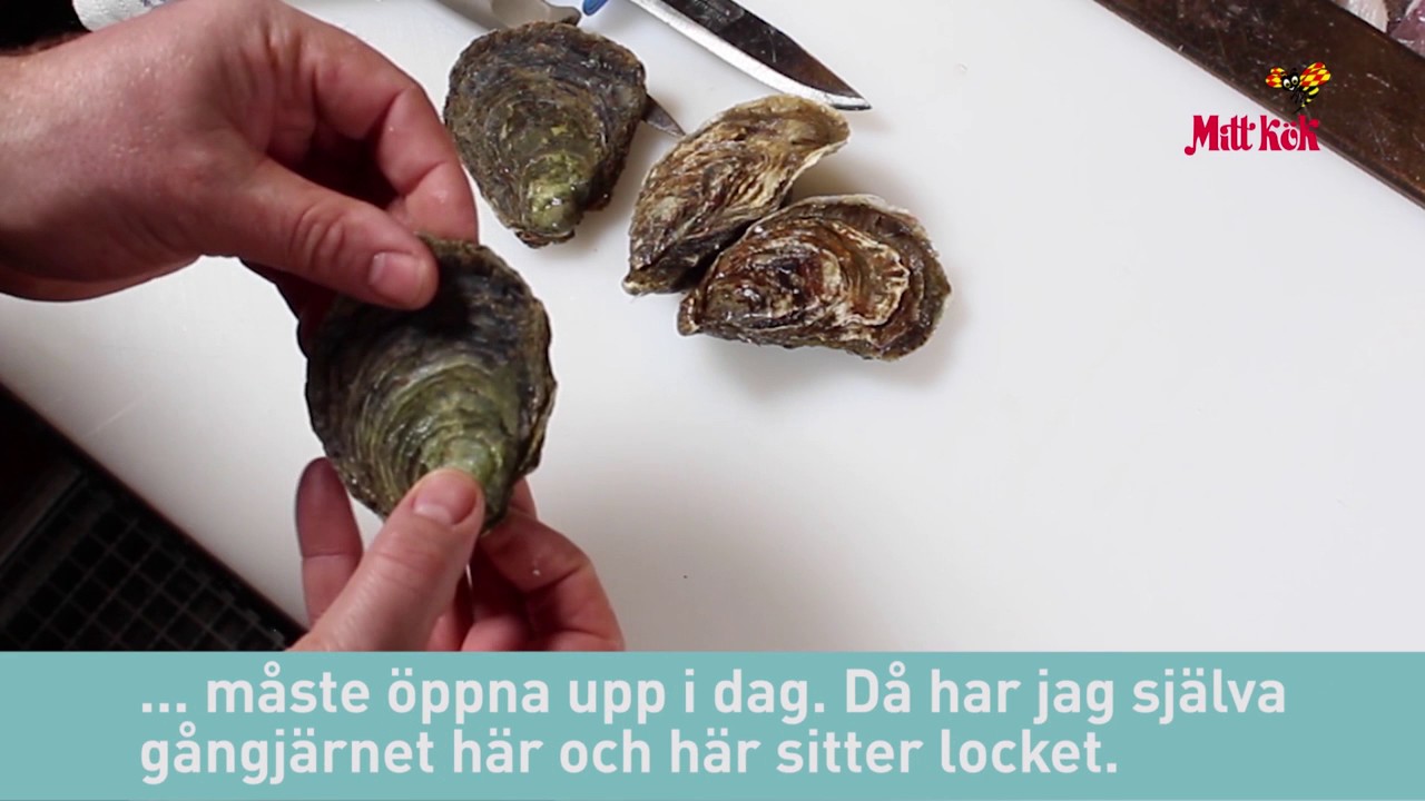 S&aring; h&auml;r &ouml;ppnar du ostron