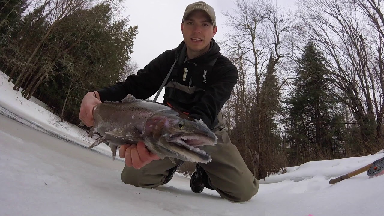 Late Winter Steelhead
