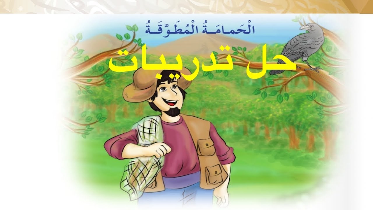 Mr&Mrs BaBaYoYo | حل تدريبات | درس الحمامة المطوقة | لغة عربية | الصف الثالث | ف١