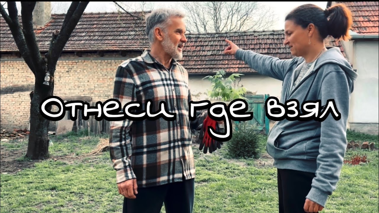 Садовые истории. Подарок от соседа. #ремонтдома #переездвсербию #жизньзаграницей #сельскаяжизнь