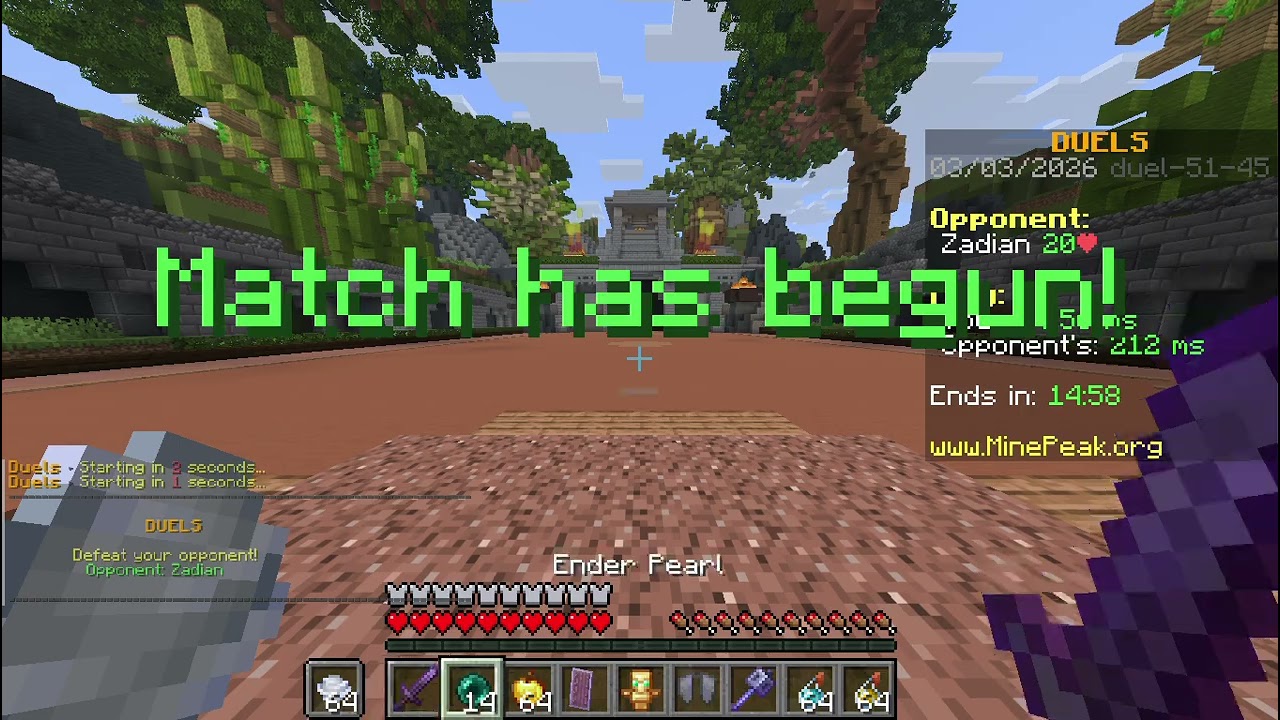 Minecraft  plaing mincraft