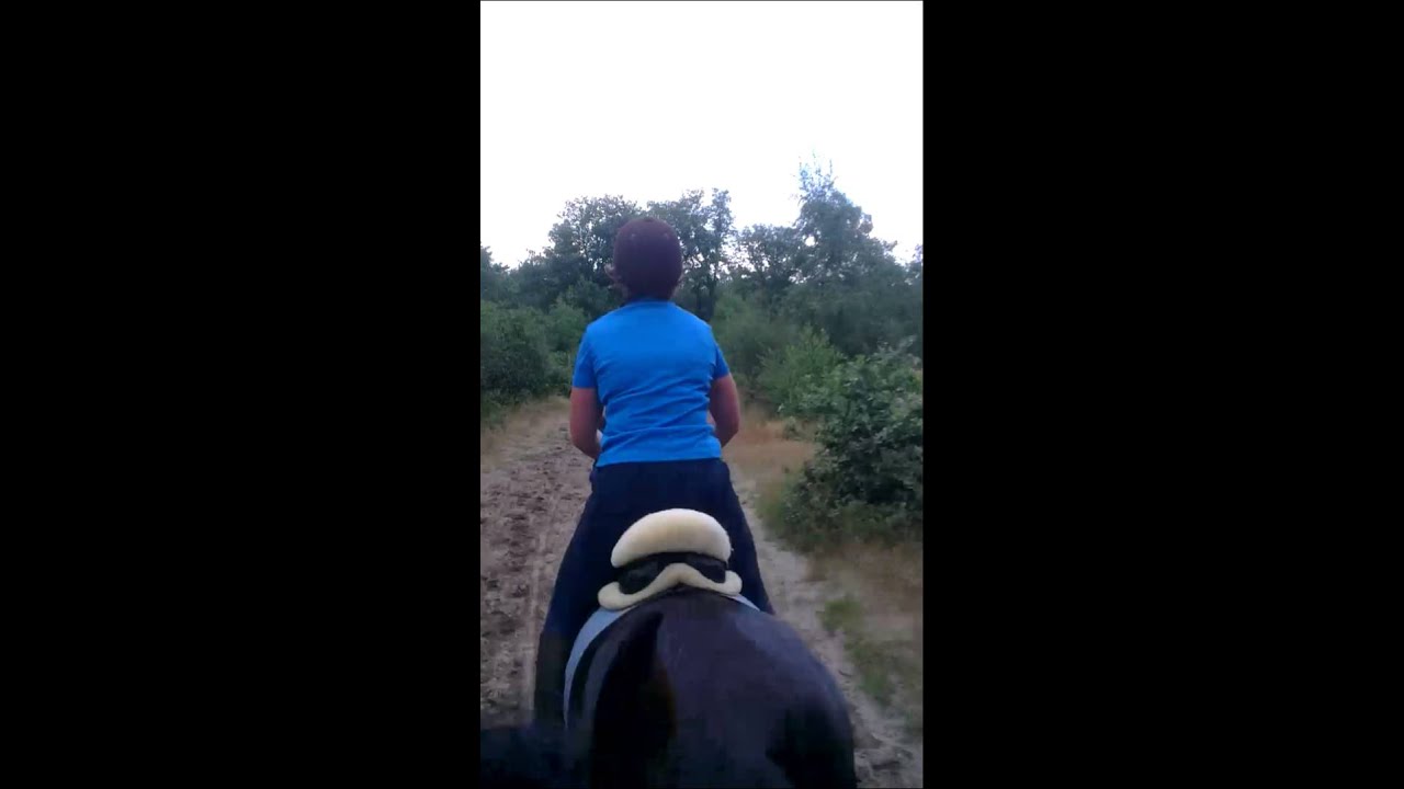 Ponykamp 2013