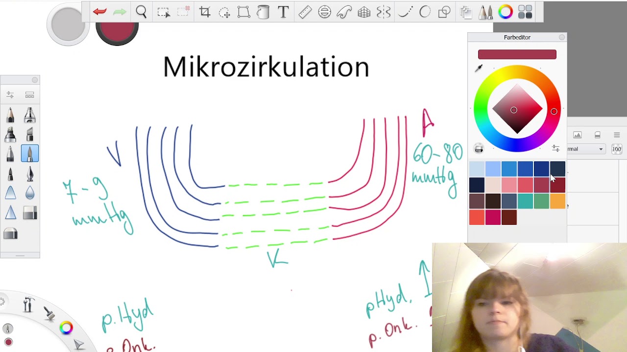 Mikrozirkulation