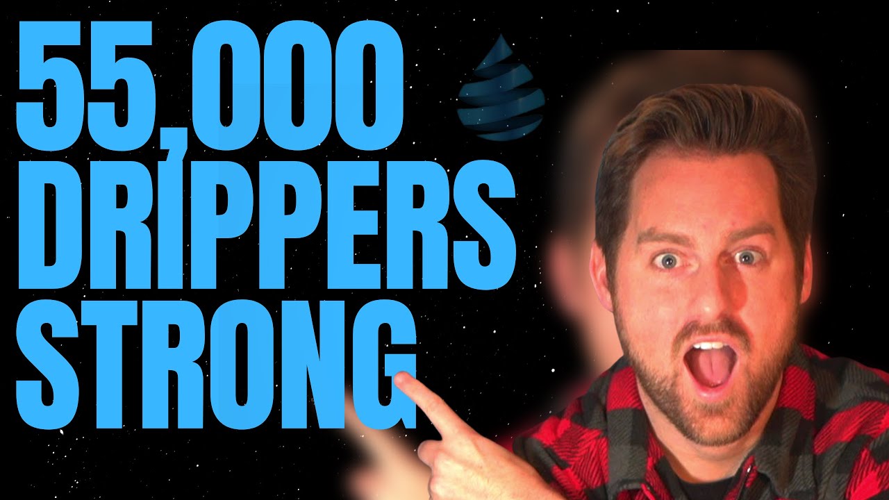 Are All Drippers This Dumb? (Drip Network Backend Reveal)