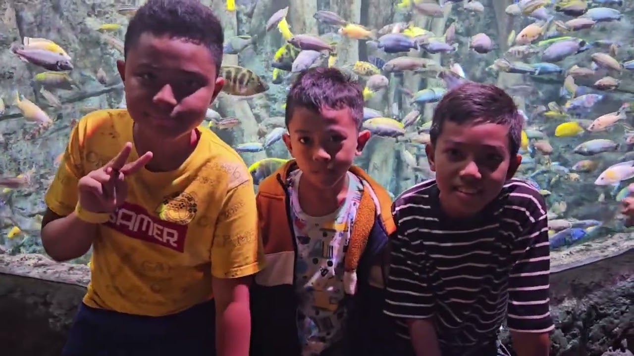 Happy Banget!! Liburan Keluarga di BxSea, Aquarium Raksasa!!
