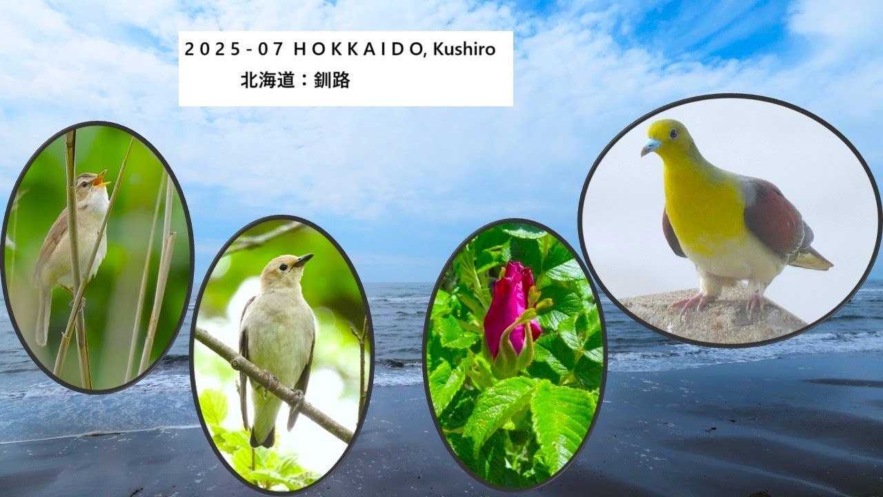 2025-07 Hokkaido, Kushiro, 北海道、釧路