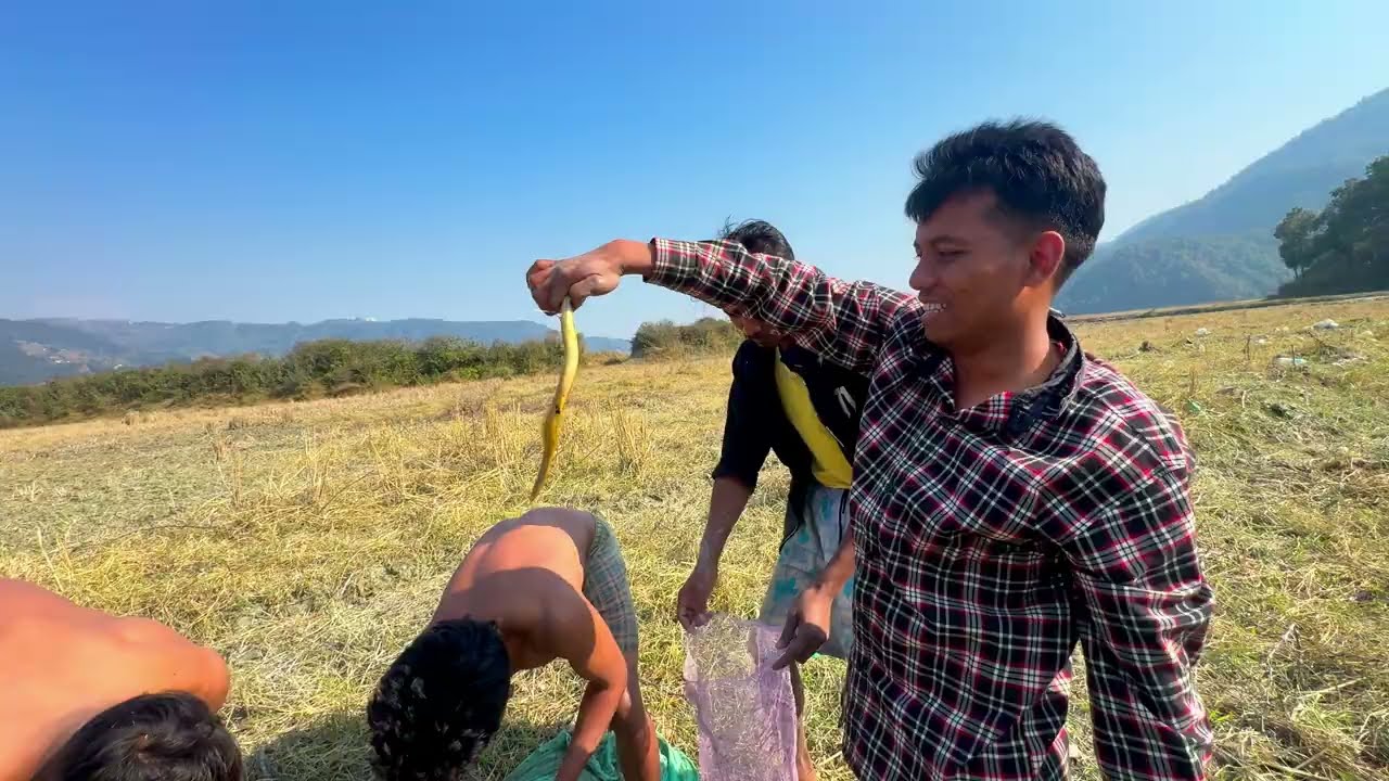Net Fishing 