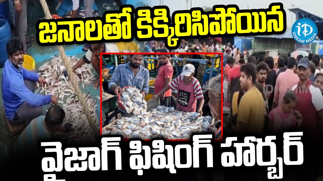 Vizag Fishing Harbour | మళ్లీ మొదలైన చేపల వేట | iDream info