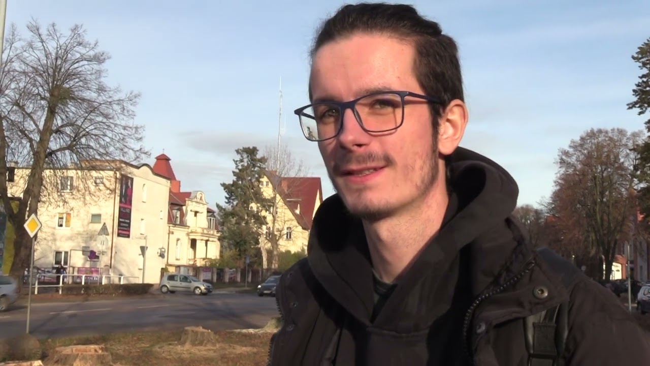 TV ASTA: kolejne 80 drzew zniknęło w Czarnkowie