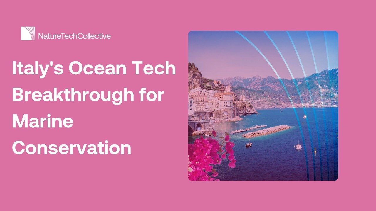 Italy&rsquo;s Ocean Tech Blueprint: How New Tools Restore Marine Life