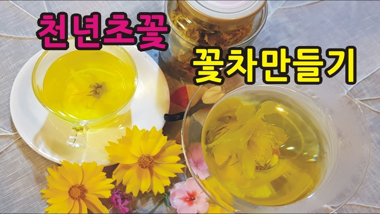 친절한광자씨 천년초 꽃차만들기