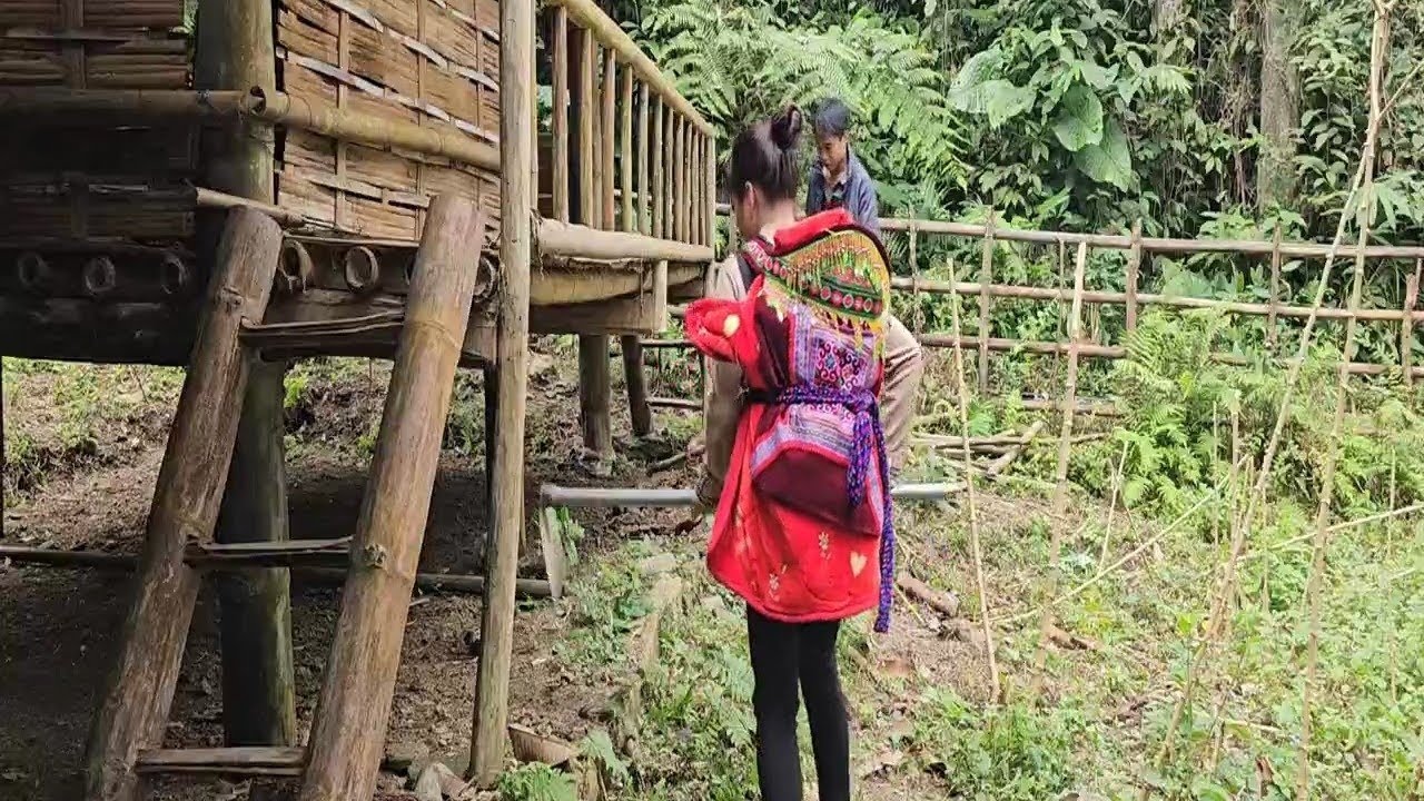 A Single Mother Was Given a House… and Rebuilt Her Life in the Forest. 