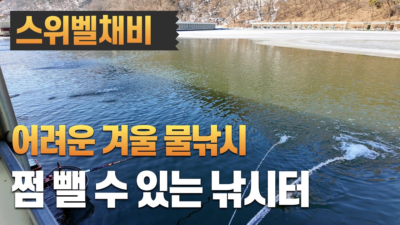요즘은 쩜만 빼면 다행이라는... 쩜 뺄 수 있는 낚시터-경기 용인 사계절낚시터(2025.02.13) #즐낚tv