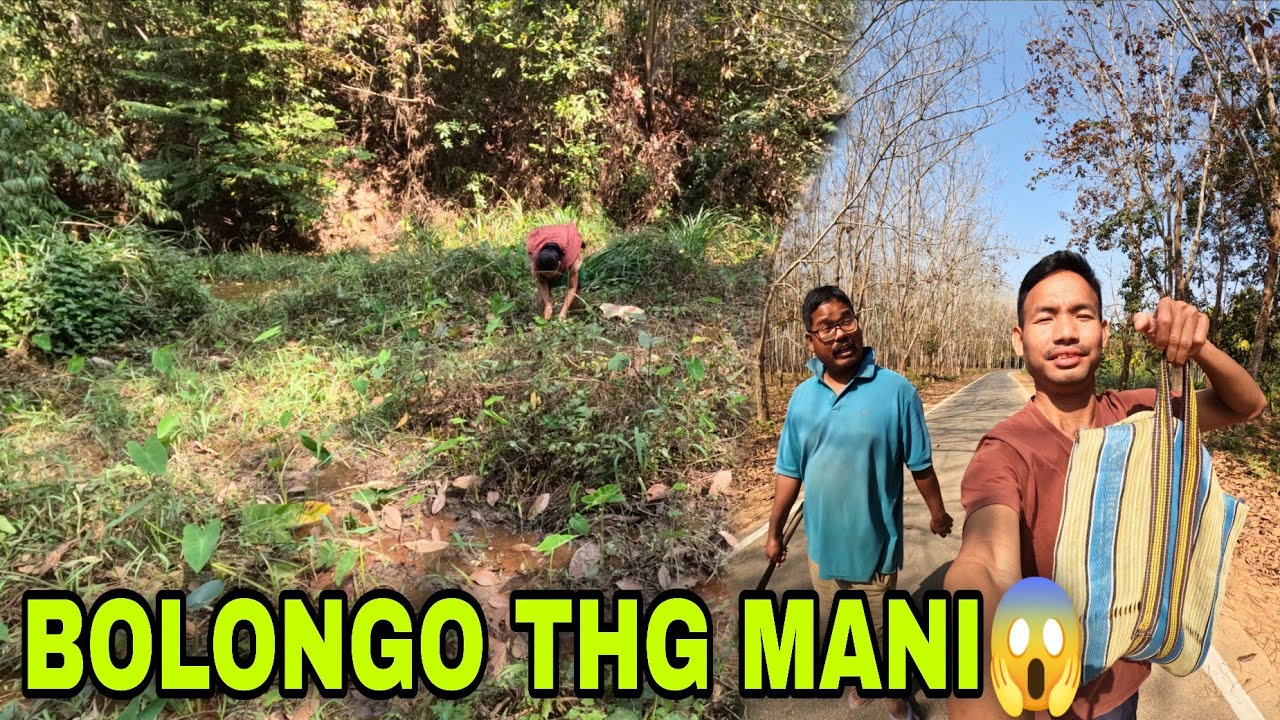 Bolongo Cheche ri Khulna Thg mani😱| Northest Tripura Kokborok@RebisunRider 