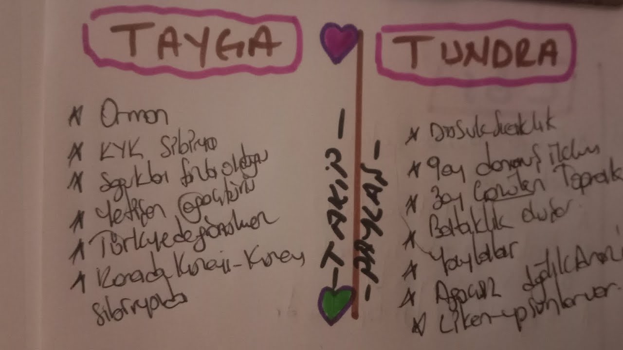 TAYGA VE TUNDRA FARKI