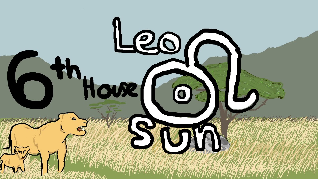 Natal Leo Sun in the 6th House | “Big Dreams” 🌟🐜